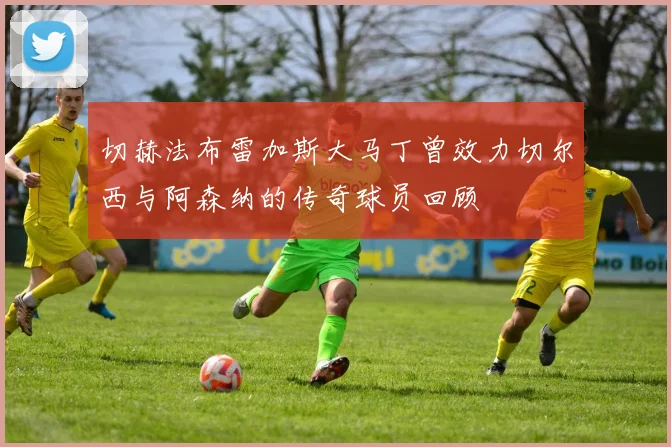 切赫法布雷加斯大马丁曾效力切尔西与阿森纳的传奇球员回顾