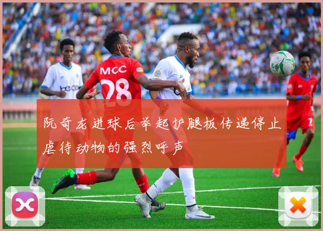 阮奇龙进球后举起护腿板传递停止虐待动物的强烈呼声